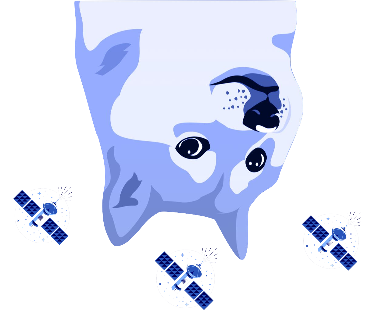 Doge-1 SATELLITE Logo